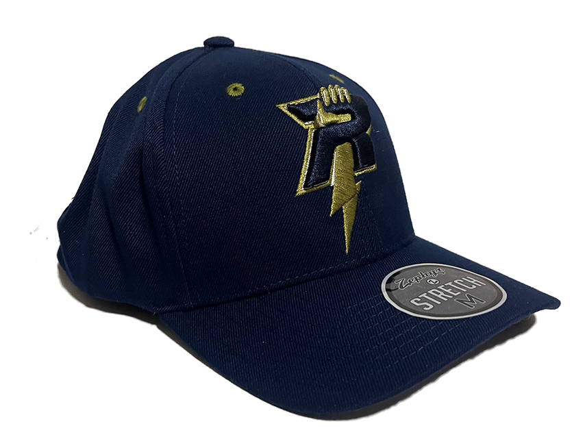 All Navy Flex Fit Hat